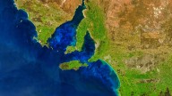 NASA Just Detected A Giant Glowing Ocean Creature On Satellite Images