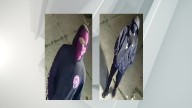 Albany PD seeking to identify 2 in ongoing investigation