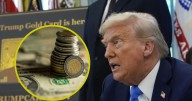 Precio del dólar cayó hoy frente al peso mexicano y así cotiza su tipo de cambio este 23 de septiembre