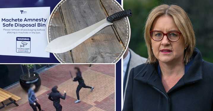 Machete Ban Victoria: Experts warn 'Band-Aid' solution to knife crime ignores the root cause