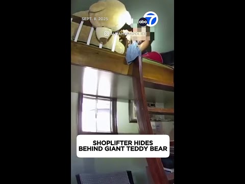 Shoplifter hides behind giant teddy bear