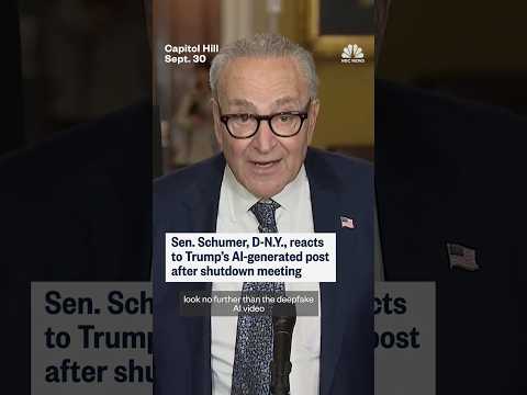 Sen. Schumer, D-N.Y., reacts to Trump's AI-generated post after shutdown meeting