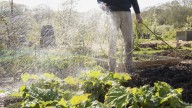 Millions From Garden Hose Brand Recalled. Is Yours One Of Them?