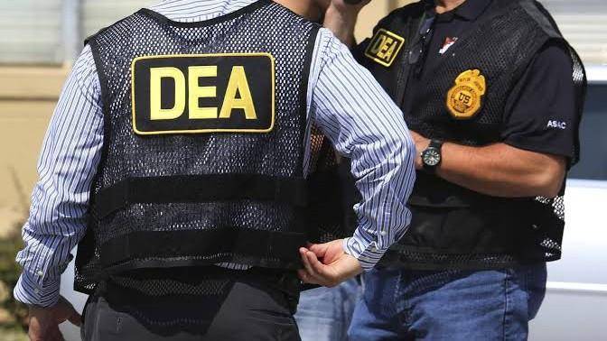 Golpe al Cártel de Sinaloa: detuvo DEA a 617 e incautó droga