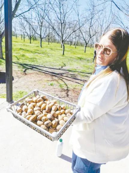 Nuez pecán, un cultivo exportable que se expande en la Argentina