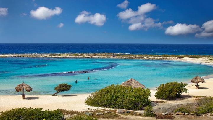 ¿Por qué "Aruba" es tendencia en Google?