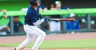 Fireflies fall in final game of Carolina League Championship Series