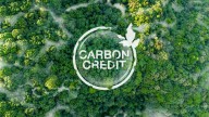 Carbon Credits: Playing The Diversification Game