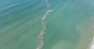 Swimming advisory issued for Atlantic Beach due to "sea sawdust" cyanobacteria presence :: WRAL.com