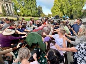 Backlash mounts over proposed repeal of protections for 2M acres of forest in WA