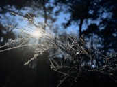 New Warning Issued as Four States to See Freezing Temperatures