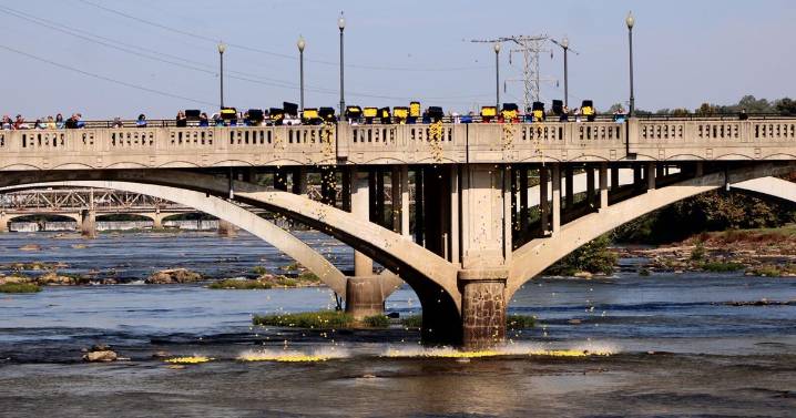 Splash, dash and cash: Why yellow rubber ducks were dropped in Dan River