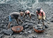 Coal PSUs Announce Rs 1.03 Lakh As Performance Linked Reward For Non