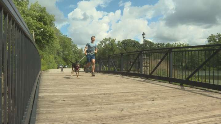 Cleveland runner launches Adventure Dogs CLE to help high-energy pups hit the trails: Ready Pet GO!