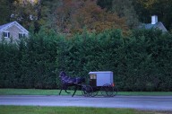 Pa. Amish families experience autism and take Tylenol, experts say