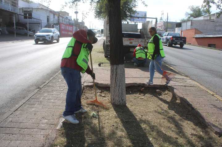 Ha retirado Municipio más de 70 toneladas de basura y hierbas en calles del sur en lo que va del mes