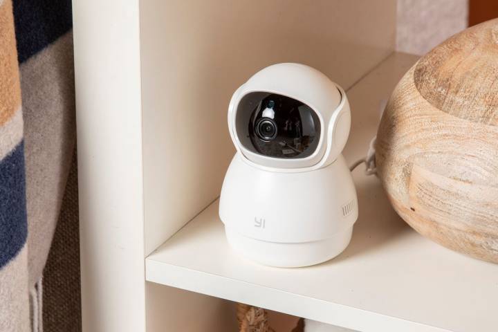 The Best Pet Cameras We Tested: Furbo, Petcube, and More