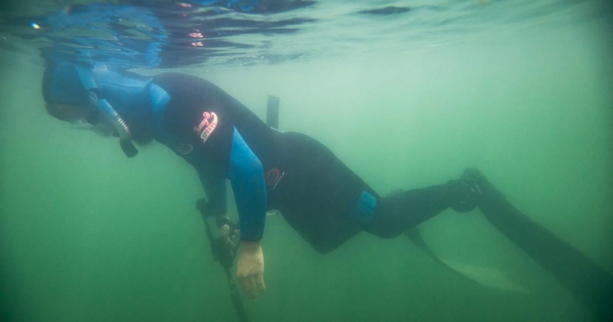 Debate over spearfishing in Colorado continues