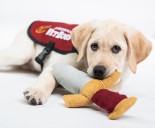 Westfield golf benefit to help pay for service dogs for stricken veterans