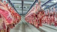 Gobierno extendió retenciones cero a carnes avícolas y bovinas hasta el 31 de octubre