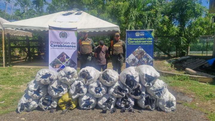 Fueron capturados por transporte ilegal de carbón vegetal