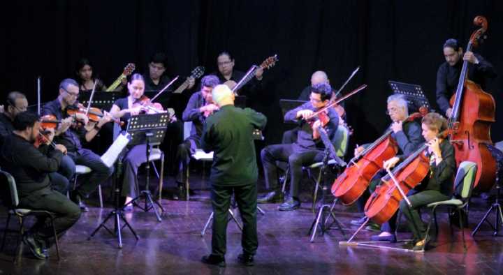 Concierto de la Orquesta de Cámara meridana
