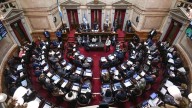 El Senado debatirá el rechazo al veto a la ley de discapacidad y la reforma de los DNU