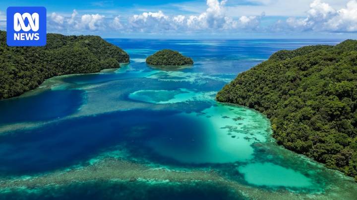 Scientists hope planting Palau's 'super corals' will save reefs from climate change