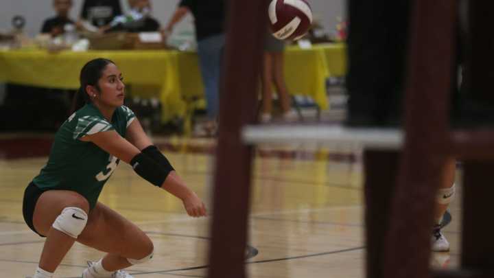 Vets hosts Flour Bluff to headline this week's volleyball schedule