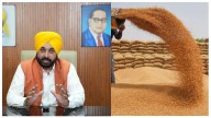 Punjab Government Will Provide Two Lakh Quintals Of Wheat Seeds Worth ₹74 Crore Free Of Cost To Farmers After Floods