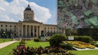 World's Largest Snake Den Discovered in Manitoba Legislature
