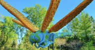New LEGO exhibit coming to Riverbanks