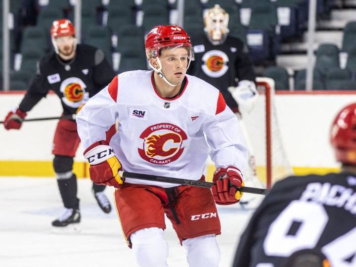 Flames prospects Basha, Morin among 13 players assigned to AHL