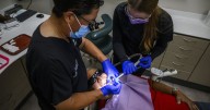Canada's dental care improving but misconceptions persist