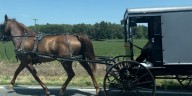 Man sentenced after deputies nearly dragged, Amish buggy almost hit during chase