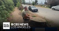 Chapman University graduate preserves Altadena's green legacy by telling residents' tree stories