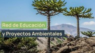 El programa “Raíces Jóvenes, Futuro Sostenible” se implementará en el norte neuquino
