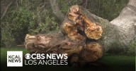 Thunderstorms and scattered showers strike Southern California