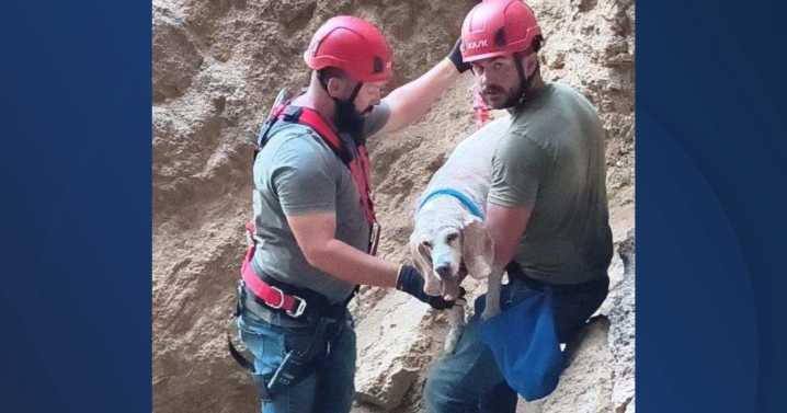 Owyhee County responders rescue two hikers, dog near Jump Creek waterfall