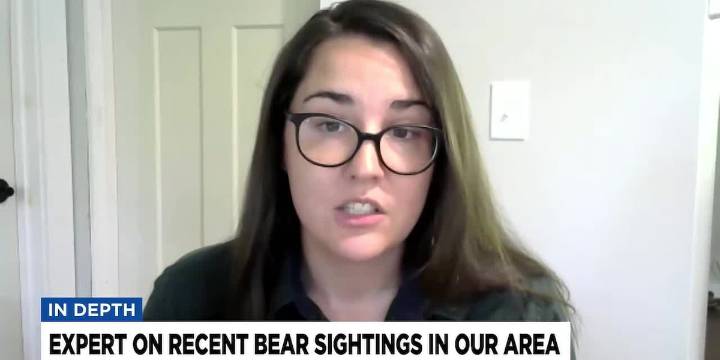 Expert on recent bear sightings in Upstate, western NC