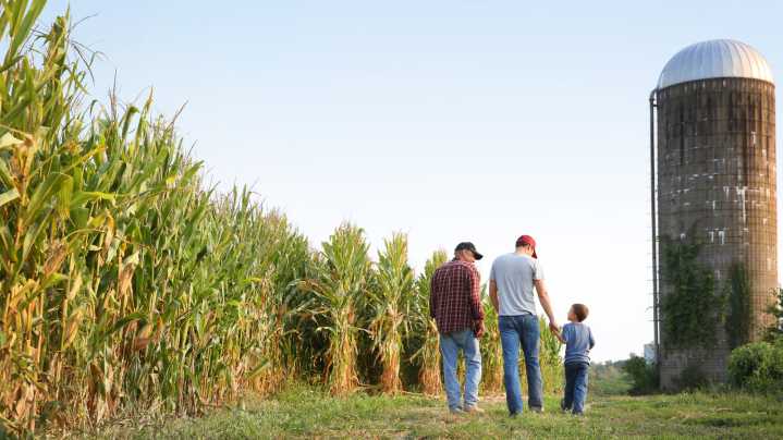 The US State That Produces The Most Corn