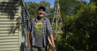 The world's tallest sunflower blooms in an Indiana backyard as a tribute to Ukraine