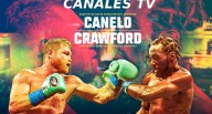 ▷ ¿En qué canal pasan la pelea Canelo Álvarez vs Terence Crawford HOY 13 de septiembre en México y Estados Unidos?