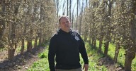 Se convirtió en fruticultor en la Patagonia para afrontar una crisis: hoy procesa 18 mil toneladas de frutas al año