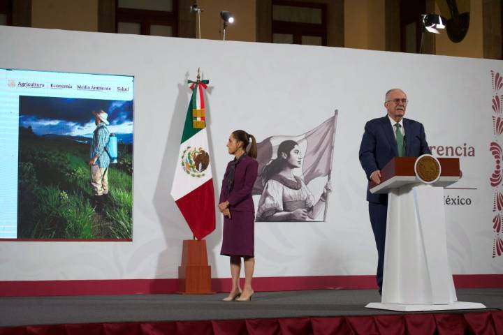 Gobierno de México prohíbe 35 plaguicidas de alto riesgo para la salud y el medio ambiente