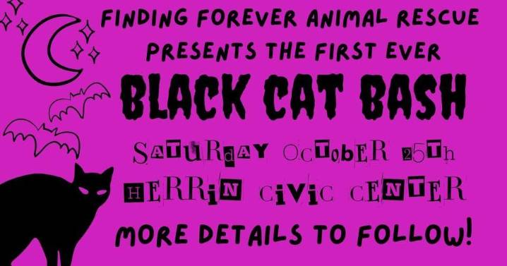 Black Cat Bash Brings Costumes, Music, and Community Spirit to Support Animal Rescue