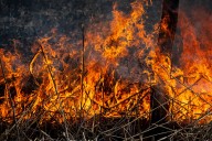 Michigan DNR warns dry autumn means more wildfire risk in ice storm