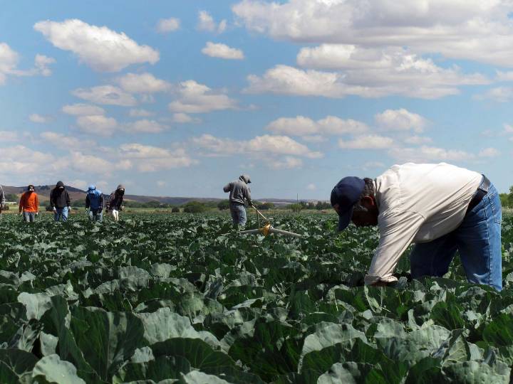 True meaning of Labor Day is lost if immigrant workers are excluded