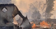 When the Eaton Fire destroyed their homes, the Pasadena Run Club became their lifeline