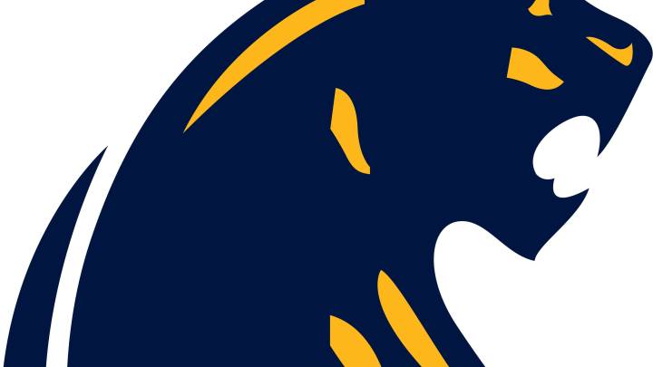 Watch Brendan Mensing haul in TD grab for DeWitt football